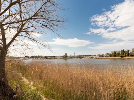 Alexis Apartament Dziwnów Kültér fotó